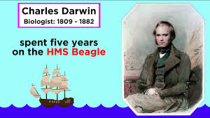An addendum on the possibilities of a new archetypal age. Charles Darwin S Idea Descent With Modification Youtube