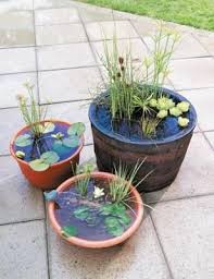 This easy diy solar fountain or patio pond with water garden plants is such a delight! 76 Best Container Ponds Ponds In A Pot Ideas Container Pond Water Garden Container Water Gardens