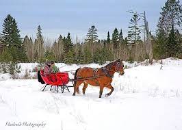 What fun it is to ride and sing a sleighing song tonight. Dashing Through The Snow In A One Horse Open Sleigh Minnesota By Paul Pluskwik Pluskwikphotography O One Horse Open Sleigh Dashing Through The Snow Horses