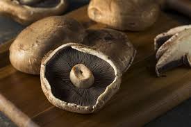 You can grow mushrooms at home. Growing Portobello Mushrooms At Home Ultimate Guide 2019 Edition