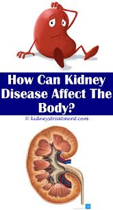 Kidney Disease Quotes Products Kidney Disease Kidney Disease Symptoms Kidney Infection