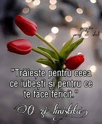 De asemenea, sistemul solar se află poziționat cu mult în afara zonelor foarte aglomerate cu stele ale centrului galactic. Praf De Stele Fotos Facebook