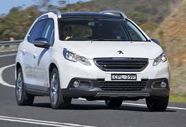 Image result for Brown Squirrel 2014 Peugeot