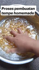 Proses Pembuatan Tempe Homemade Panduan Mendalam Oleh Orange Cooking