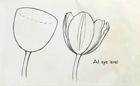 How to draw flowers in a pot step 1: How To Draw Basic Flower Shapes Quarto Knows Blog