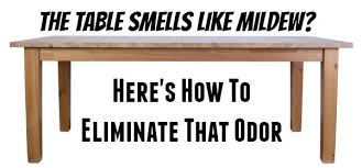 I have found that the best way to remove smell from furniture or carpeting is to use a vinegar spray. How To Remove Musty Mildew Odor From Furniture