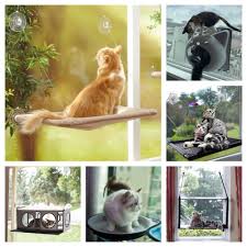 Cat hammocks are made to mimic a cat's natural sleeping environment. 7 Cat Window Hammocks Your Kitty Will Love Meow As Fluff