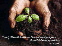 These will provide inspiration and get you thinking about the beauty of nature that surrounds you! 23 Inspirational Tree Quotes And Sayings Audi Quote