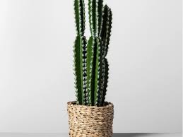 I think they'd make for great valentines day cards as well, but they aren't general valentine's cards, at least not in my opinion. The 10 Best Places To Buy Fake Plants Online In 2021