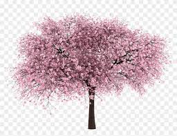 View our latest collection of free cherry blossom tree png images with transparant background, which you can use in your poster, flyer design, or. Sakura Clipart Pretty Tree Cherry Blossom Tree Png Transparent Png 20645 Pikpng