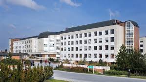 Všechny informace o ikem přímo z první ruky! Novym Reditelem Prazskeho Ikem Bude Od Ledna Dosavadni Namestek Michal Stiborek Irozhlas Spolehlive Zpravy