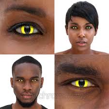 You may also like our halloween we proudly carry the biggest selection of cat contacts which come in a vast array of bright?vibrant colors. Cat Eye Yellow Contact Lenses Daily Chromaview Wholesale Us
