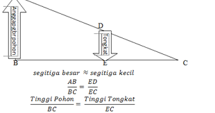 Perhatikan gambar sel dibawah ini proses yang terjadi pada x adalah blog pak pandani. Nih Cara Menaksir Tinggi Pohon Materi Tertulis