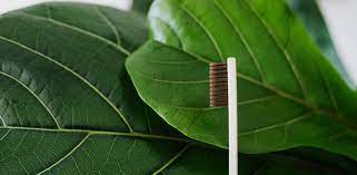 Cauze principale pentru gura uscata. Uscarea Gurii Xerostomia In Cancer Sfaturi Si Recomandari Cancer360