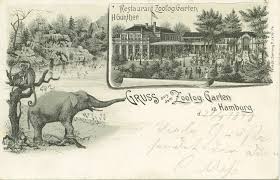 Mai 1863 als fünfter deutscher zoo eröffnet. 10 Dinge In Denen Hamburg Erster War Shmh De