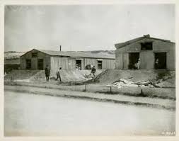 Search the Collection