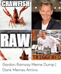 To upload the gordonramsay emoji to your slack workspace follow these simple steps. Cranfsh Raw Gordon Ramsay Meme Dump Dank Memes Amino Dank Meme On Ballmemes Com
