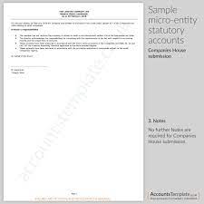 A Guide To Micro Entity Statutory Accounts Format Accounts Template