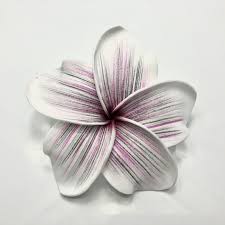 Skulls and guns have their place in the tattoo world, but some classics are a little more soft and feminine. Hawaiian Plumeria Frangipani Foam Flower With Hand Brush Color Tattoo Unique Handbrush Design Buy Hawaiian Foam Flower Plumeria Frangipani Product On Alibaba Com