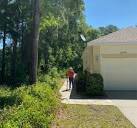 Tree Inspection Service in Dunnellon, FL