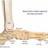 The human leg, in the general word sense, is the entire lower limb of the human body, including the foot, thigh and even the hip or gluteal region. 1