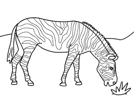 Get free printable coloring pages for kids. Zebra 13035 Animals Printable Coloring Pages
