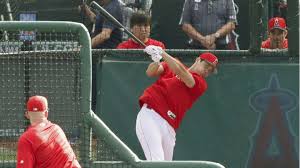 I hope it continues for a long time! Baseball Shohei Ohtani Takes 1st Batting Practice With Team Since Surgery