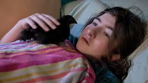 Has anyone bought from Jessica Crane Lehr poultry?