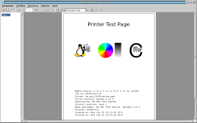 The test page normally also shows you extra almost all modern printers have built in capabilities for printing a printer test page. 25 Use Of Cups 2 0 Ecups