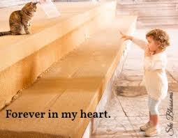 How to knoe what killded my kitten. How Do You Accept The Death Of Your Cat
