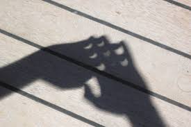 Solar Eclipse Activities For Kids And Families Sky Telescope Sky Telescope To find the altitude of the sun, the shadow of the pin was made. solar eclipse activities for kids and