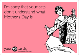 Wish your mom a humorous and happy mother's day with one of these funny verses. Happy Mothers Day Wife Funny Daily Quotes