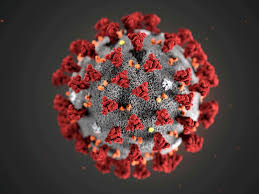 Jul 07, 2021 · bc recovery benefit. Covid 19 Update For June 14 Here S The Latest On Coronavirus In B C Vancouver Sun