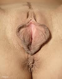 Observe the Sacred Moment of a Untouched Vulva as It's Revealed for the Intimate Gaze