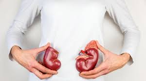 Penyakit ginjal kronis (pgk) atau gagal ginjal kronis (ggk) adalah kondisi saat fungsi ginjal menurun secara bertahap karena kerusakan ginjal. 8 Makanan Super Yang Menyehatkan Ginjal