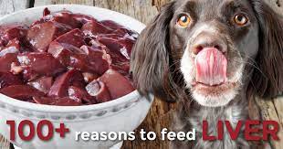 Why Your Dog Should Eat More Liver Dog Food Recipes Dog Nutrition Raw Dog Food Recipes