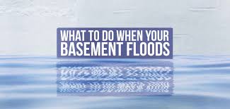 What to do when your basement floods. What To Do When Your Basement Floods Budget Dumpster