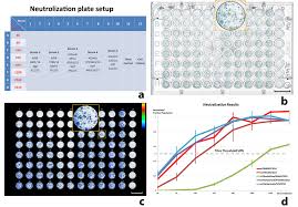 Image result for Neutralization Test