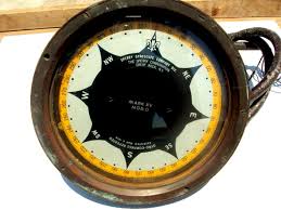 Image result for Gyrodoma hispida