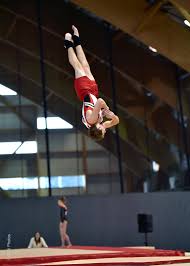 How to open a gym: Loyalist Gymnastics Club