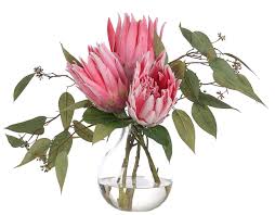 Image result for Protea