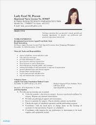 With a few simple clicks, you can change the colors, fonts, layout, and add graphics to suit the job you're applying for. Sample Resume Computer Technician Philippines Valid Curriculum Vitae Puter Technician Res Job Resume Examples Cover Letter For Resume Resume Objective Examples