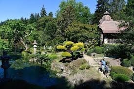 Conception et création de jardin, vente en ligne de produits l'aménagement des jardins jardin japonais. Benoit Sculpte Les Plantes Du Plus Grand Jardin Japonais D Europe Angers Maville Com