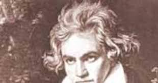 Ida Stover's Instagram, Twitter & Facebook