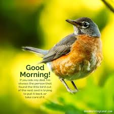 Check spelling or type a new query. Best Good Morning Birds Images For You Good Morning Friday Images Good Morning Images Good Morning