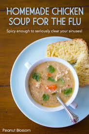 Chicken soup for sore throat. Homemade Chicken Soup For Flu Season Peanut Blossom