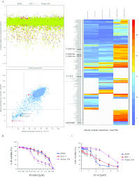 High Throughput Drug Library Screening Braf Mutant Thyroid