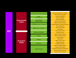 Air quality index (aqi) values. Http Www Ciesin Org Documents Epi 2010 Report Pdf
