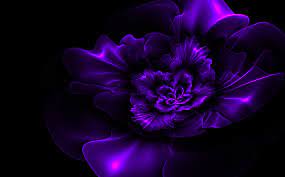A collection of the top 59 purple and black wallpapers and backgrounds available for download for free. 74 Dark Flower Wallpaper On Wallpapersafari