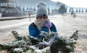 Check spelling or type a new query. Bahaya Salju Di Dieng Jawa Tengah